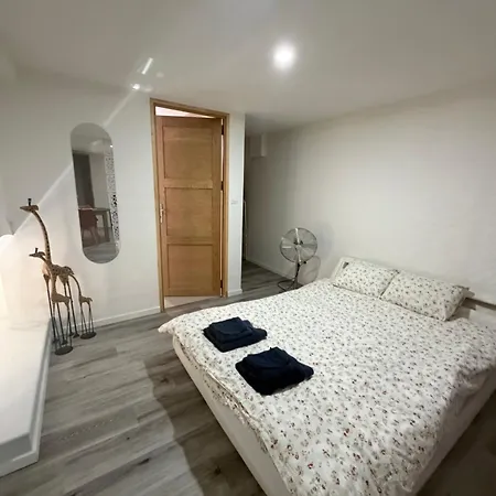 T1 Bis, 33m2, Avec Cuisine, En Hyper Centre, Aix Les Bains * Aix-les-Bains